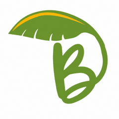 Banana Food - Uberaba Banana Food - Uberaba